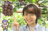 テレビ朝日で『レストランひたち野』が放映されます